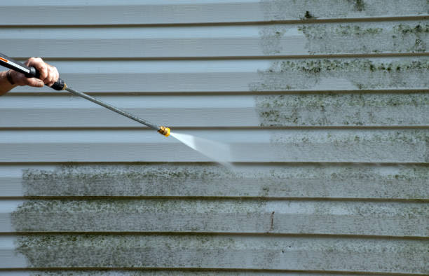 Best Deck Pressure Washing  in Earlysville, VA