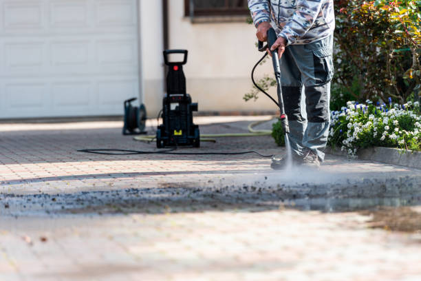 Best Roof Power Washing Services  in Earlysville, VA