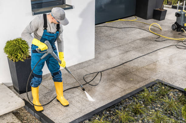 Best Roof Pressure Washing  in Earlysville, VA